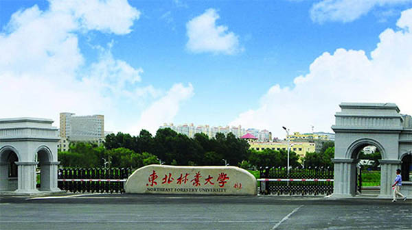 东北林业大学农业硕士.jpg