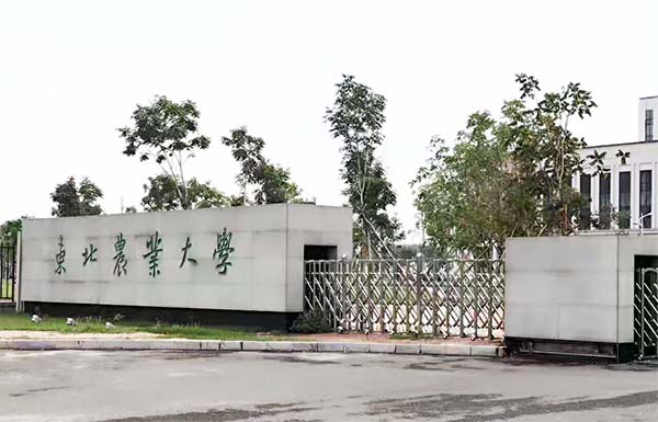 东北农业大学农业硕士（农业管理/农村发展）专业学位简介